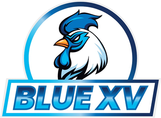 Empresarial Blue XV